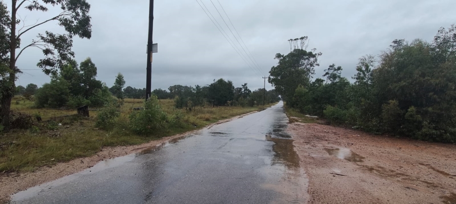 0 Bedroom Property for Sale in Greenbushes Eastern Cape